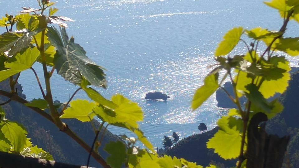 Casa Il Faro Villa Con Piscina Castelmola Exteriör bild